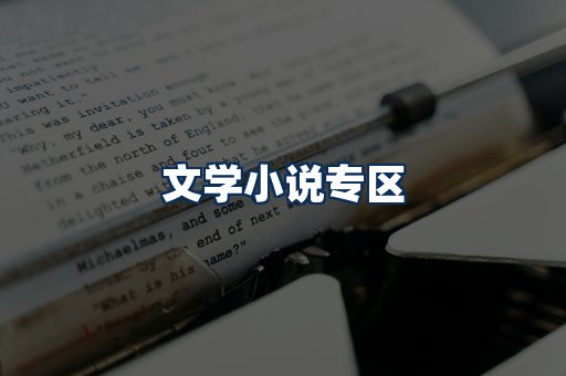 文学小说PDF展示